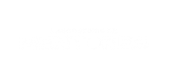 Laboratorio de Mentores